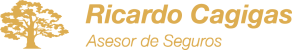 Ricardo Cagigas